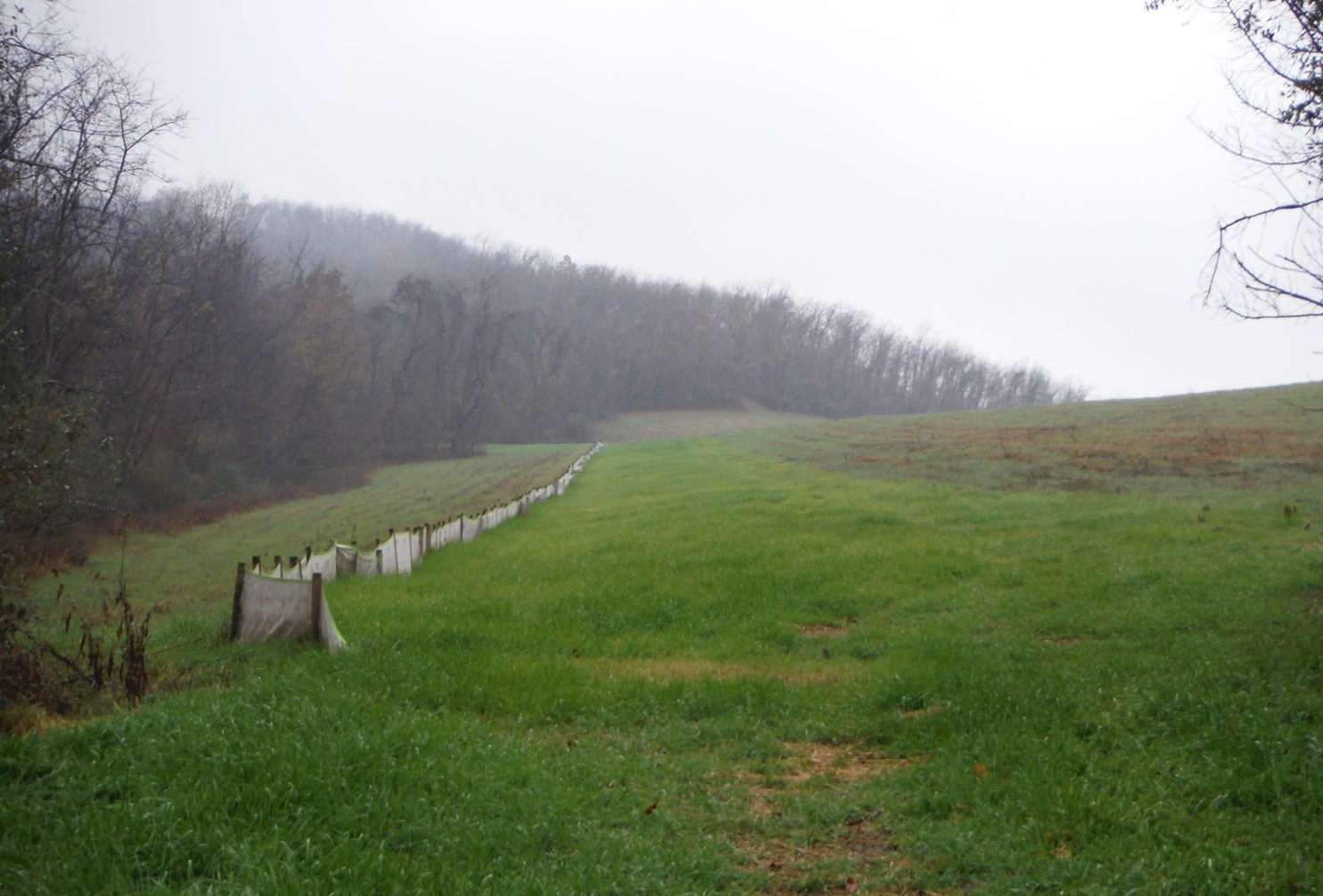 Erosion & Sediment Control Program