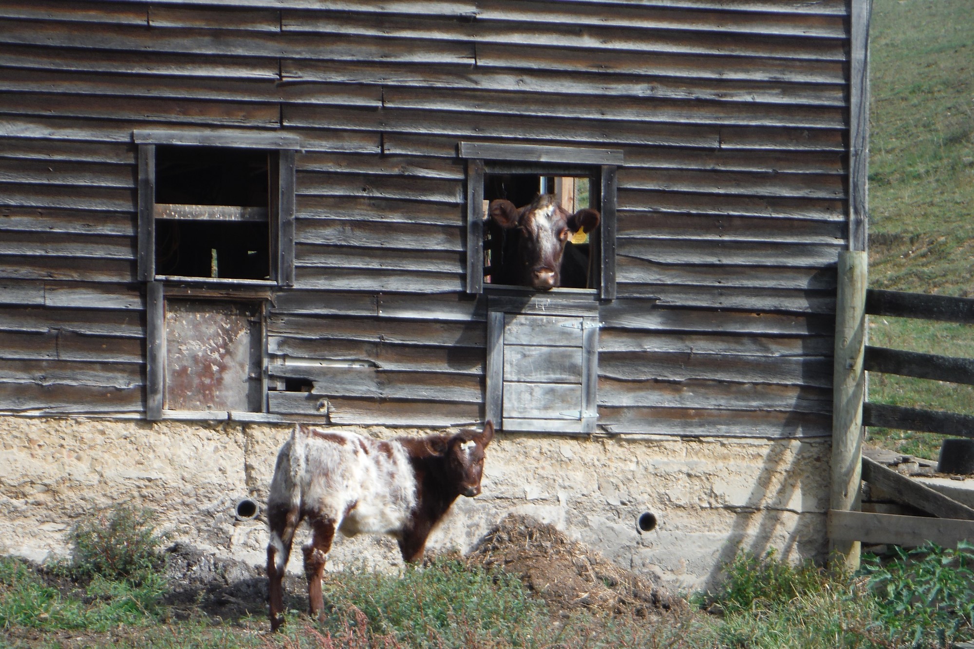 Farmland Preservation Program