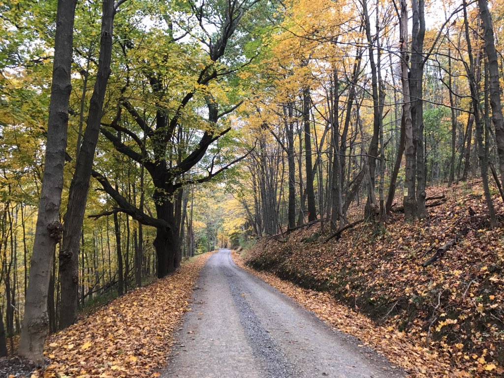 Dirt, Gravel and Low Volume Roads Program