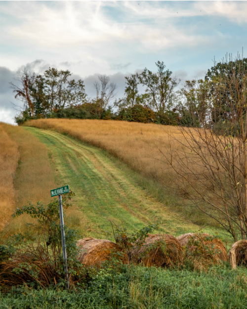 Image of Hayfield by Ben McMillen