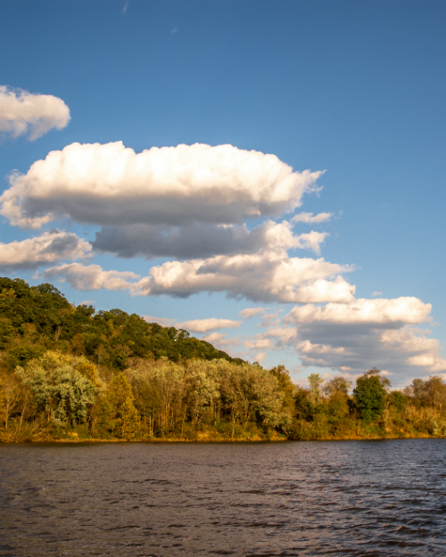 Monongahela River by Ben McMillen